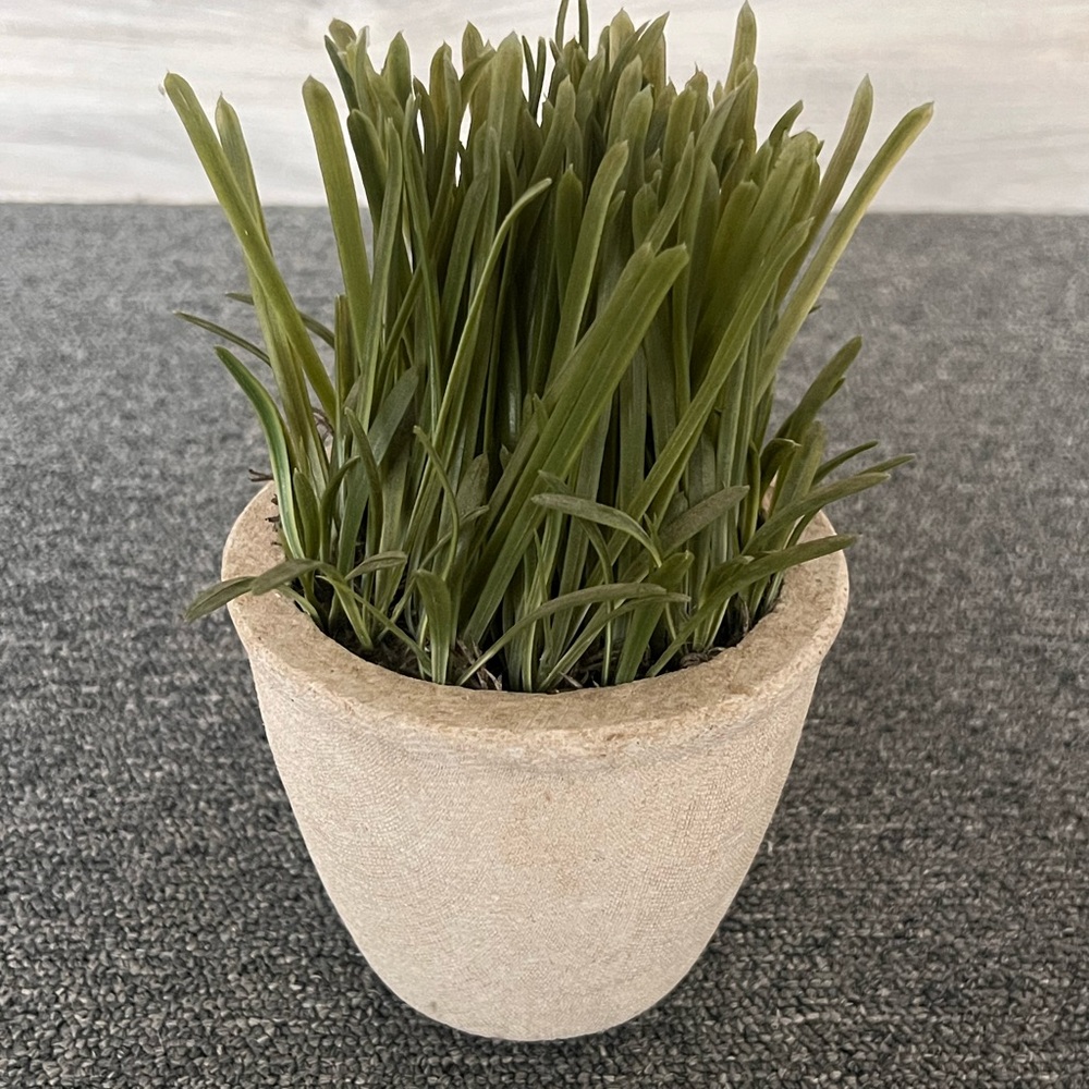 Elegant Green Faux Plant in Cream Pot